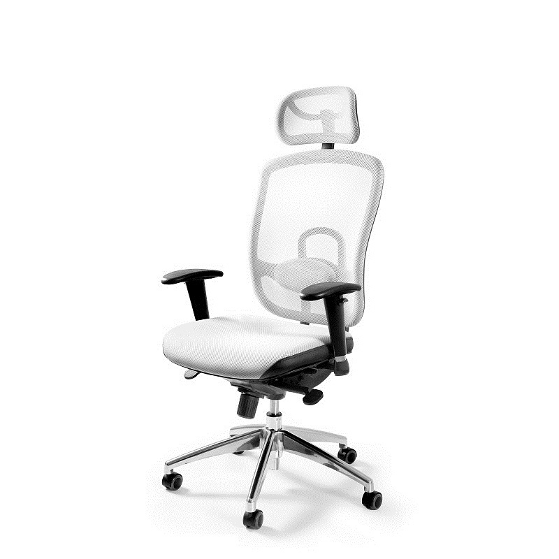 Profesjonalny fotel biurowy Vip - zdjęcie 1