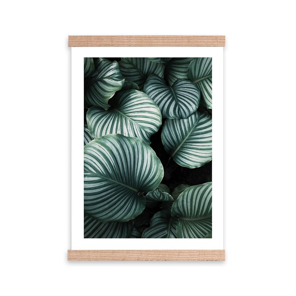 Plakat Adalsteinn z wyborem rozmiaru i ramy - zdjęcie 1