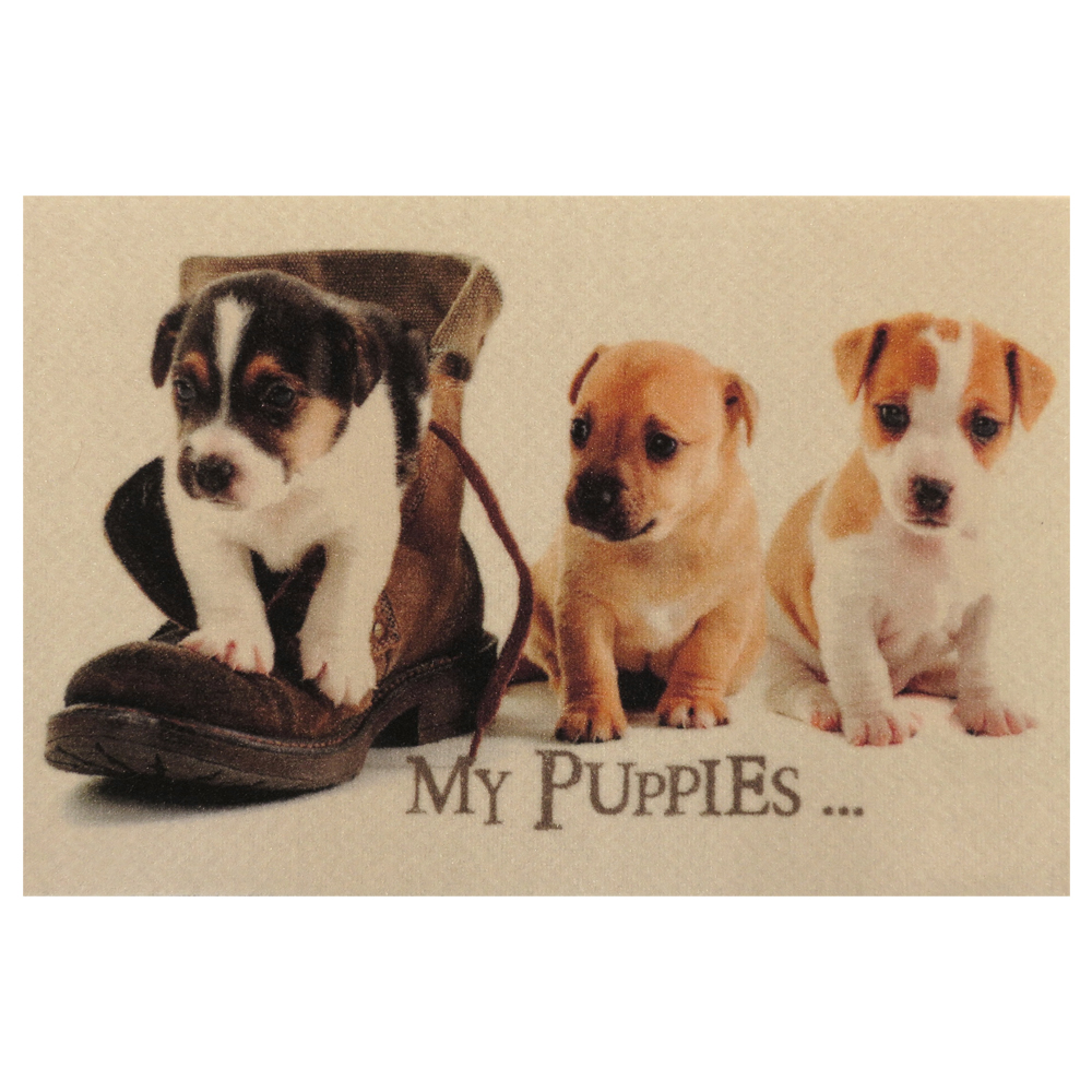 Wycieraczka do butów Muffy z motywem piesków 40x60 cm - zdjęcie 1