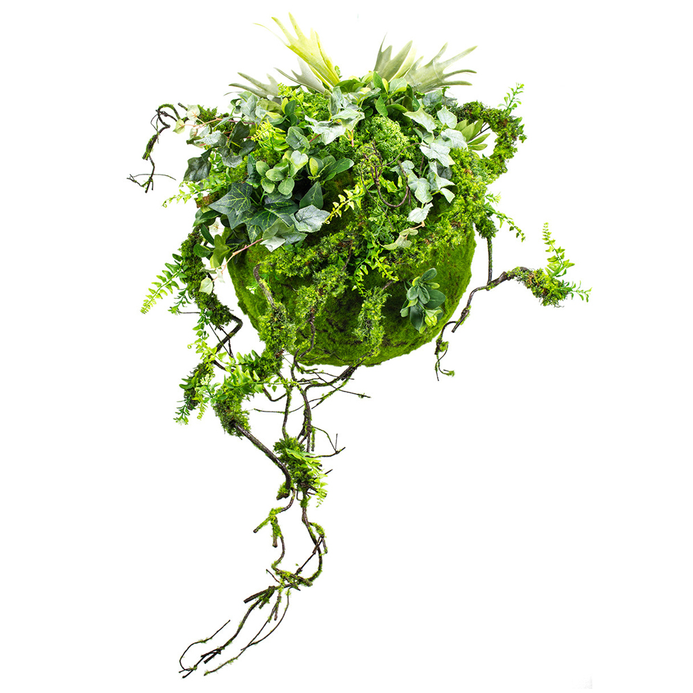 Sztuczna roślina Sparaces kula mech 40 cm - zdjęcie 1