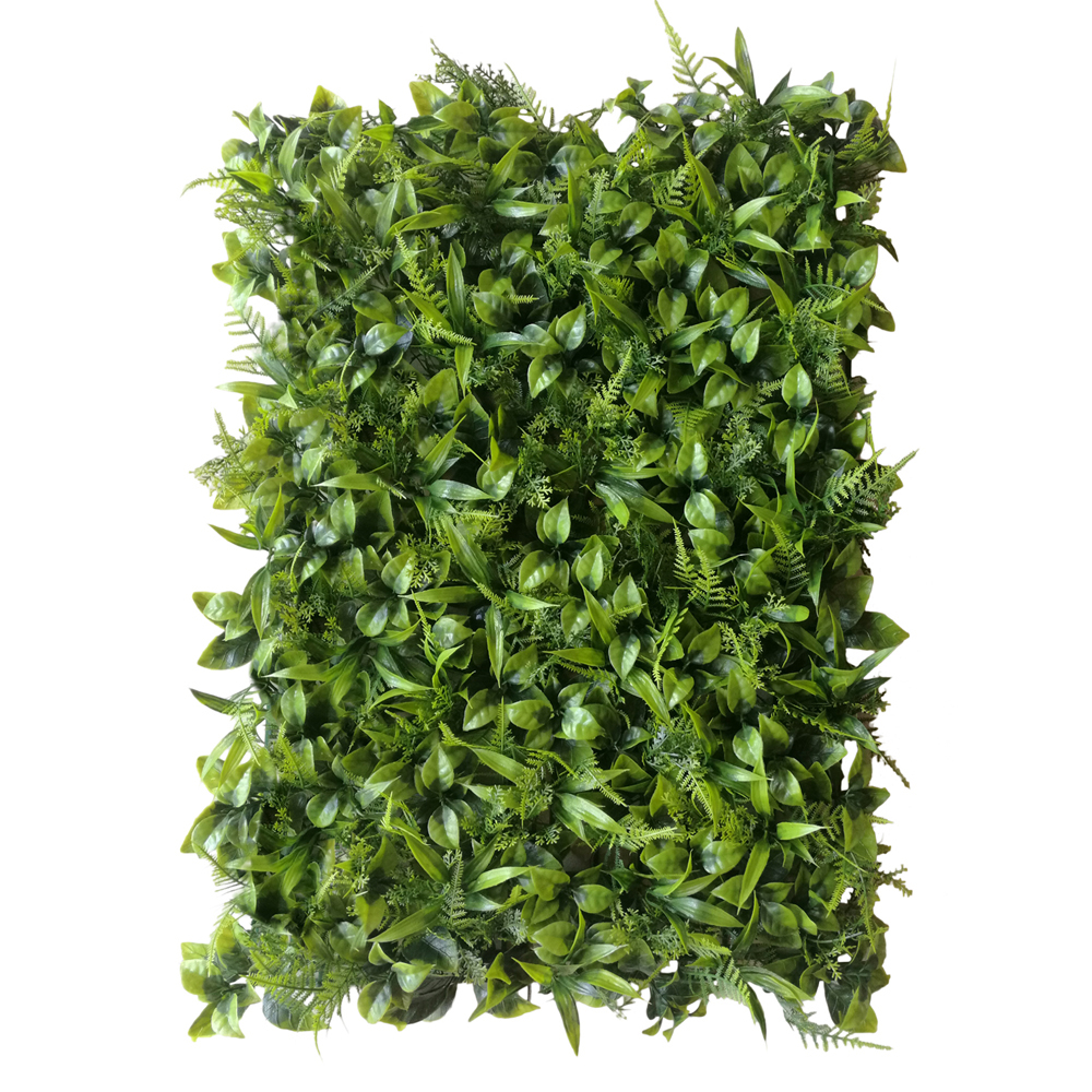 Dekoracja ścienna Shientrist Peperomia - zdjęcie 1