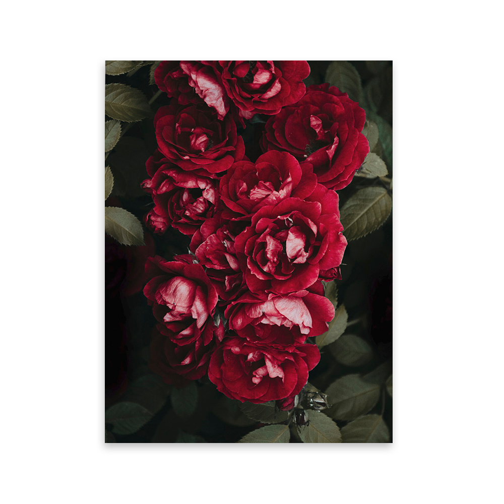 Plakat Henningy z wyborem rozmiaru i ramy - zdjęcie 1