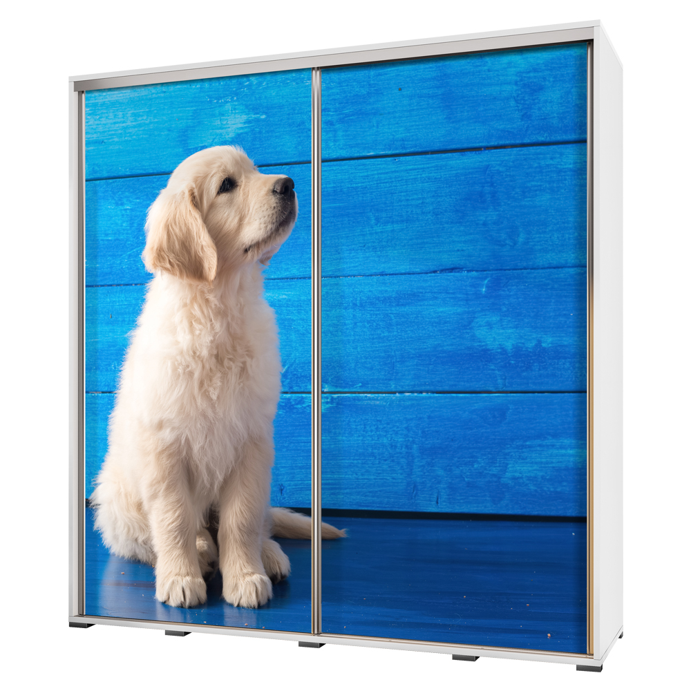 Szafa Wenecja 205 cm Labrador szczeniak - zdjęcie 1