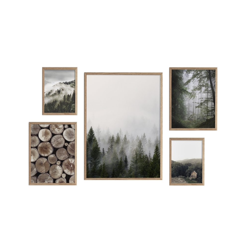 Galeria pięciu obrazów Euglio z wyborem ramy - zdjęcie 1