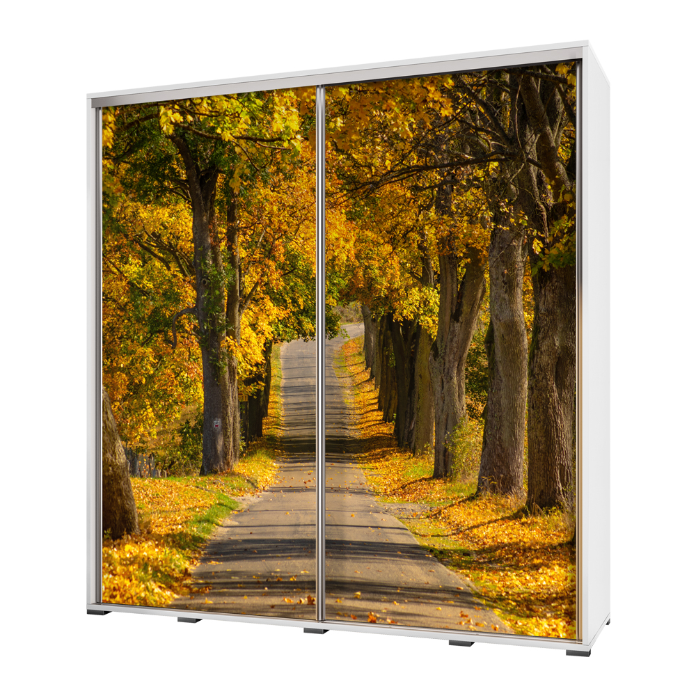 Szafa Wenecja 205 cm Jesienna droga - zdjęcie 1