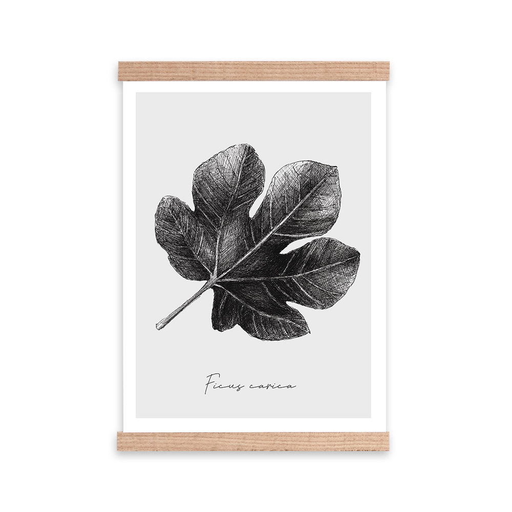 Plakat Drakus z wyborem rozmiaru i ramy - zdjęcie 1