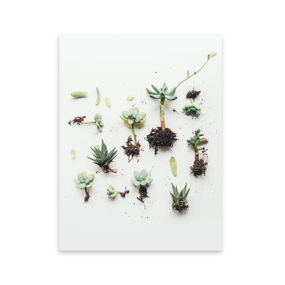 Plakat Fuger z wyborem rozmiaru i ramy - zdjęcie 1