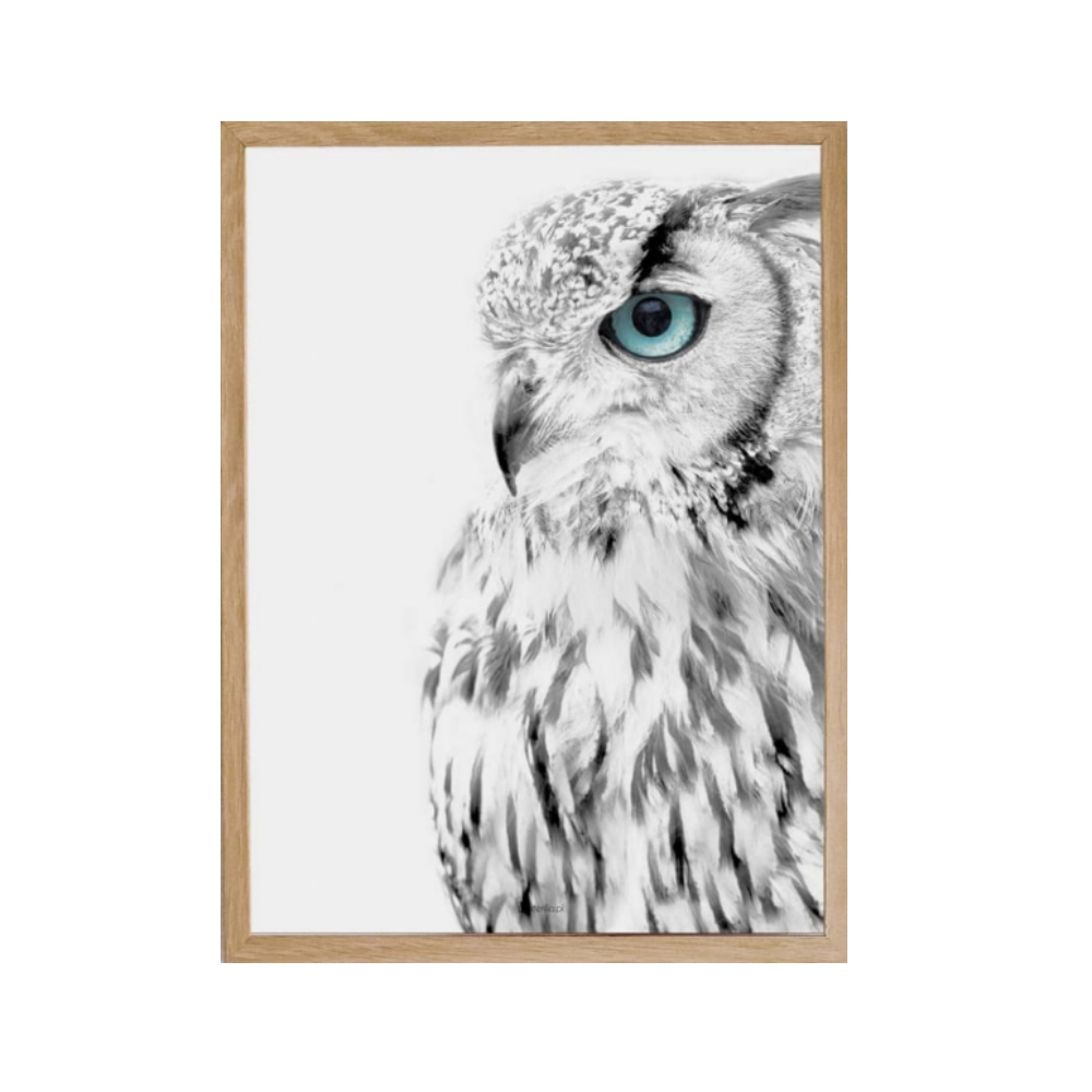 Plakat Ollien z wyborem rozmiaru i ramy - zdjęcie 1