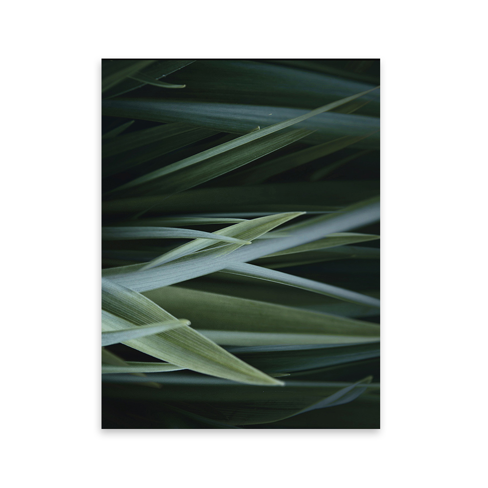 Plakat Famir z wyborem rozmiaru i ramy - zdjęcie 1