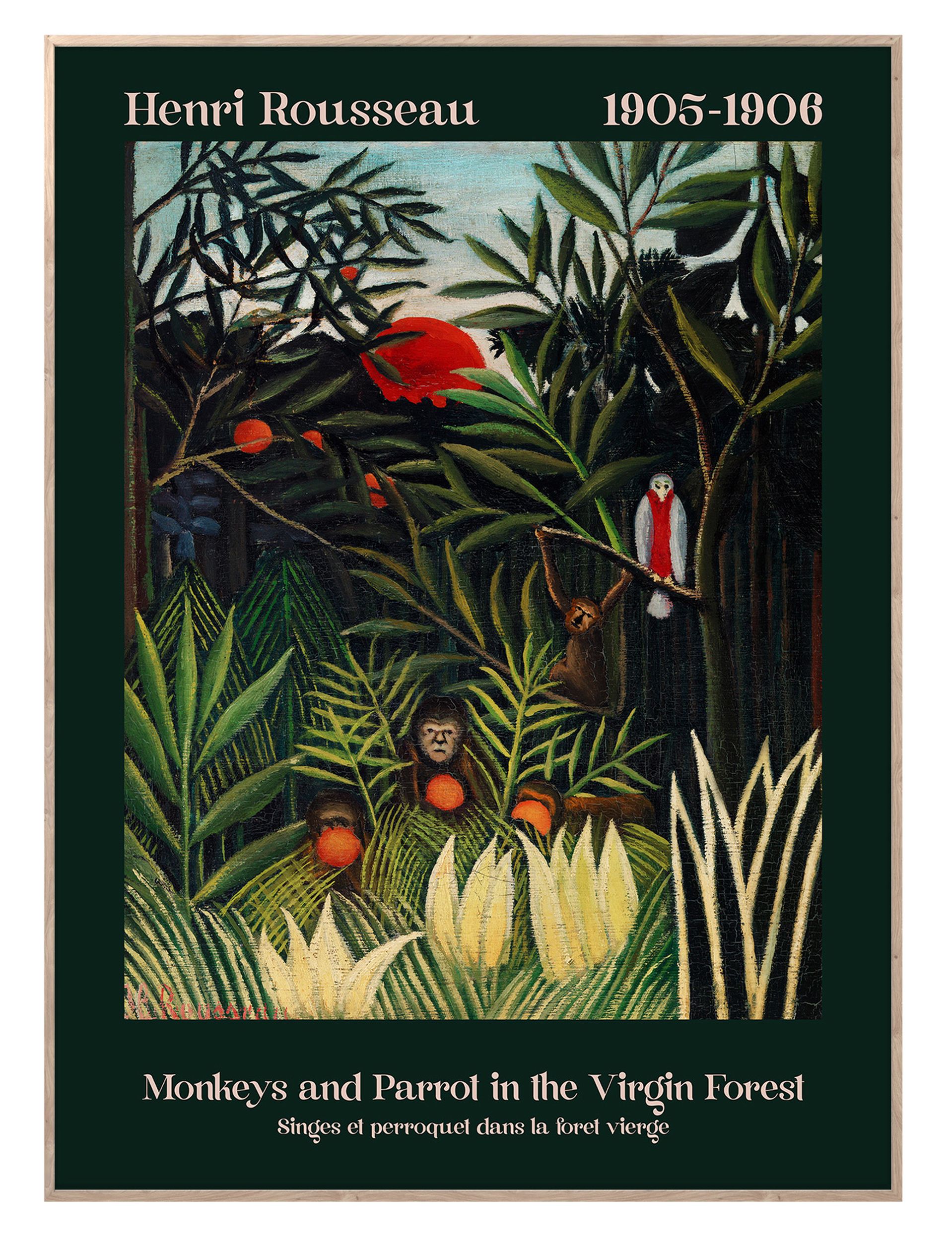 Obraz w ramie Virgin Forest 70x50 cm - zdjęcie 1